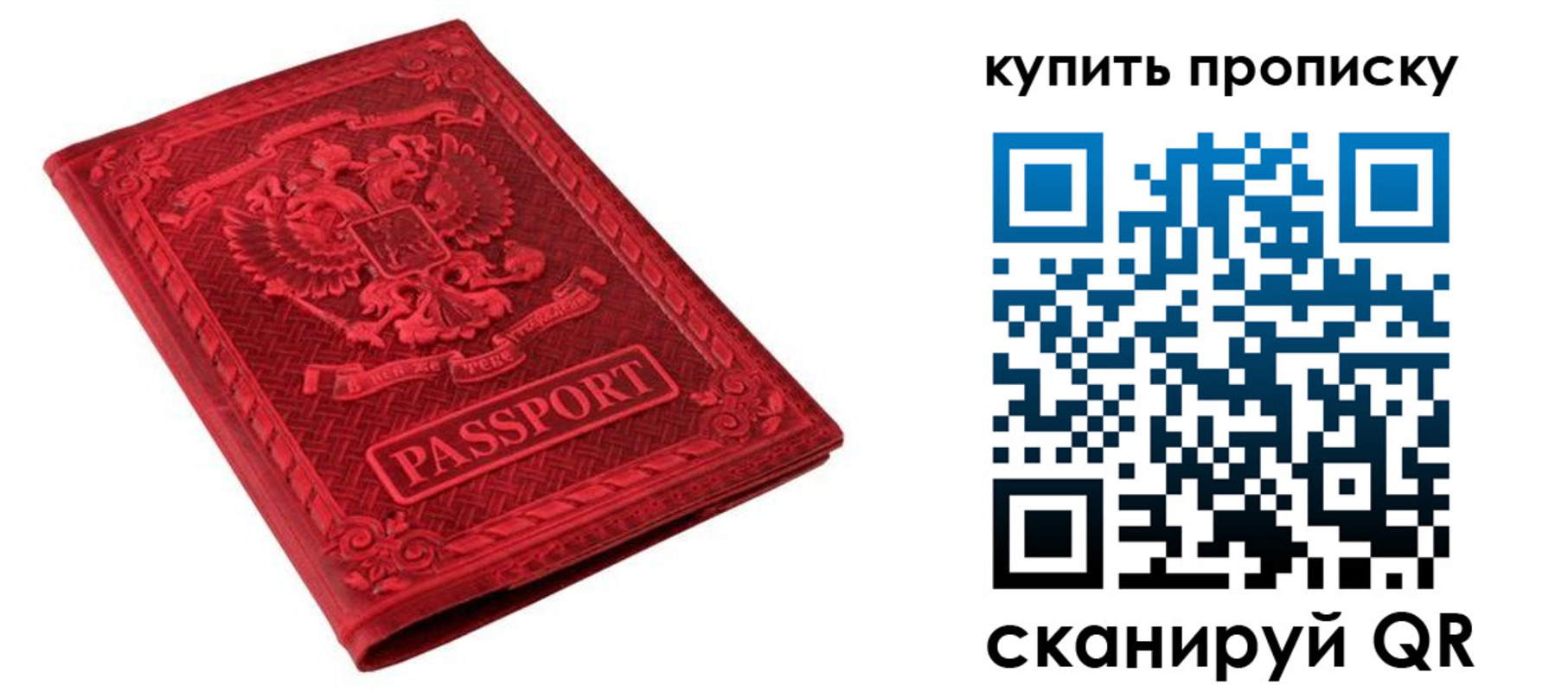прописка в Кингисеппе